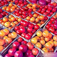 Checkerboard Tomatos